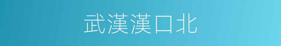 武漢漢口北的同義詞