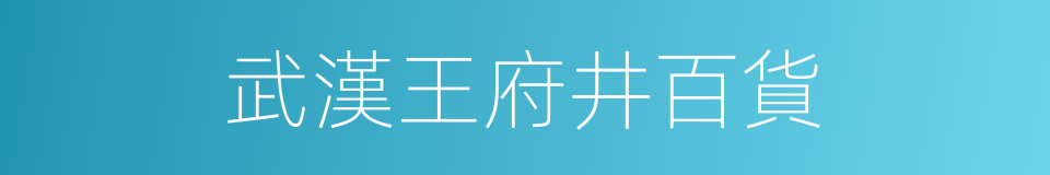 武漢王府井百貨的同義詞