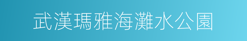 武漢瑪雅海灘水公園的同義詞