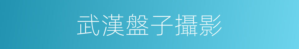 武漢盤子攝影的同義詞