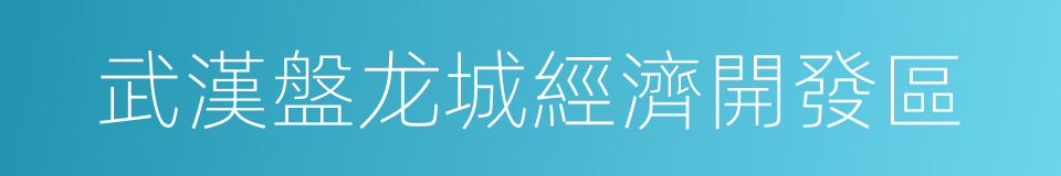 武漢盤龙城經濟開發區的同義詞