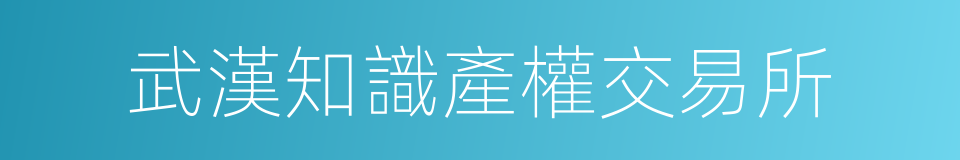 武漢知識產權交易所的同義詞