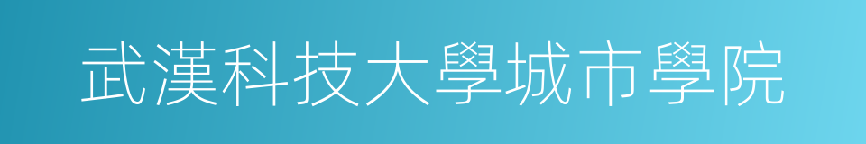 武漢科技大學城市學院的同義詞