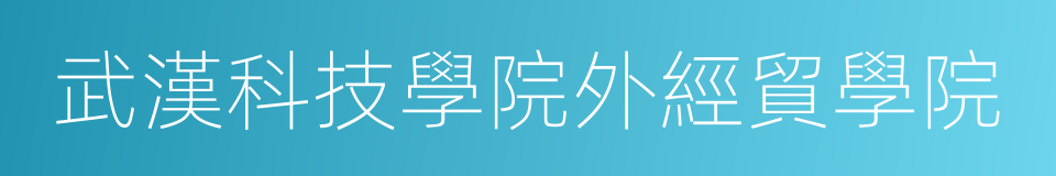 武漢科技學院外經貿學院的同義詞