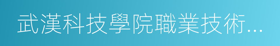 武漢科技學院職業技術學院的同義詞