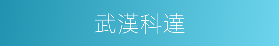 武漢科達的同義詞