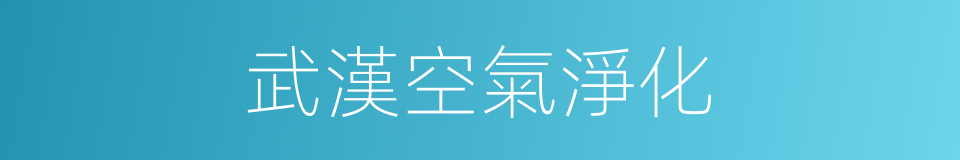 武漢空氣淨化的同義詞