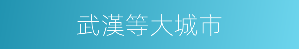 武漢等大城市的同義詞