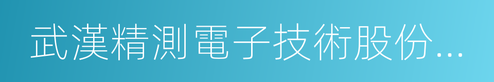 武漢精測電子技術股份有限公司的同義詞