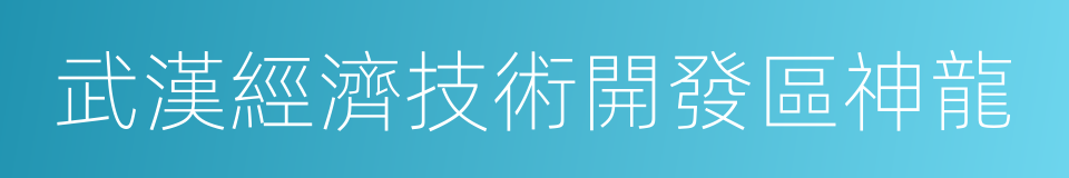 武漢經濟技術開發區神龍的同義詞