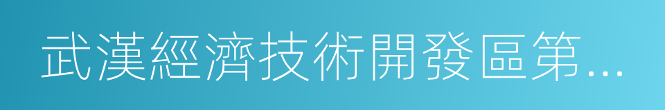 武漢經濟技術開發區第一中學的同義詞