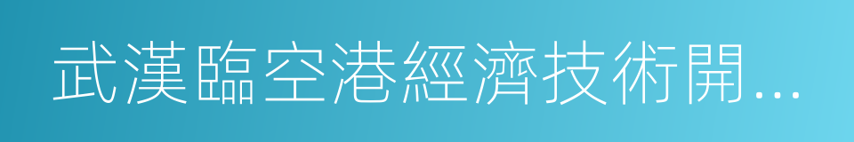 武漢臨空港經濟技術開發區的同義詞