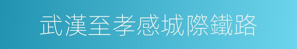 武漢至孝感城際鐵路的同義詞