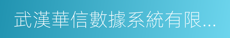 武漢華信數據系統有限公司的同義詞