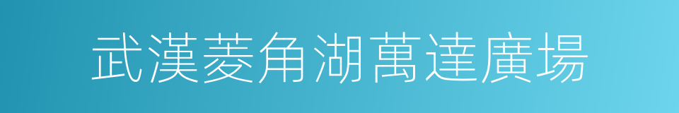 武漢菱角湖萬達廣場的同義詞