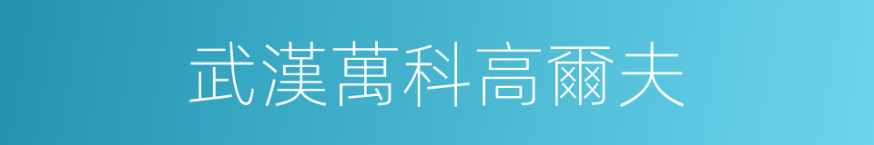 武漢萬科高爾夫的同義詞
