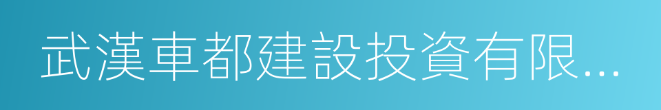 武漢車都建設投資有限公司的同義詞