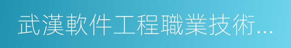 武漢軟件工程職業技術學院的同義詞