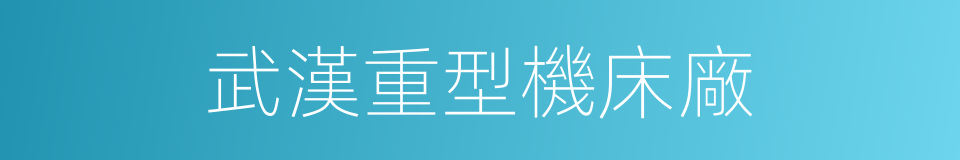 武漢重型機床廠的同義詞