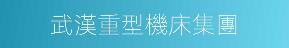 武漢重型機床集團的同義詞