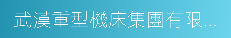 武漢重型機床集團有限公司的同義詞