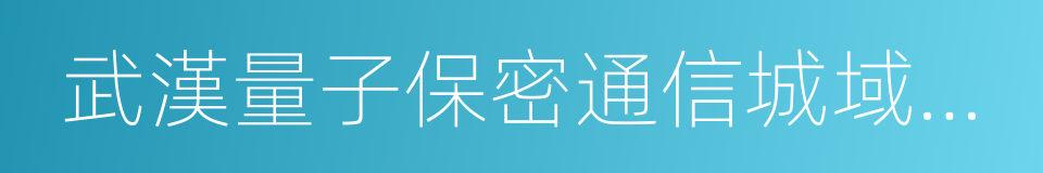 武漢量子保密通信城域網項目合作框架性協議的同義詞