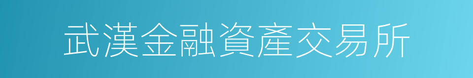 武漢金融資產交易所的同義詞