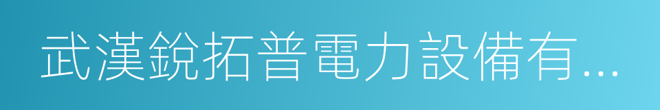 武漢銳拓普電力設備有限公司的同義詞