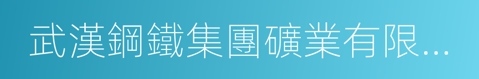 武漢鋼鐵集團礦業有限責任公司的同義詞