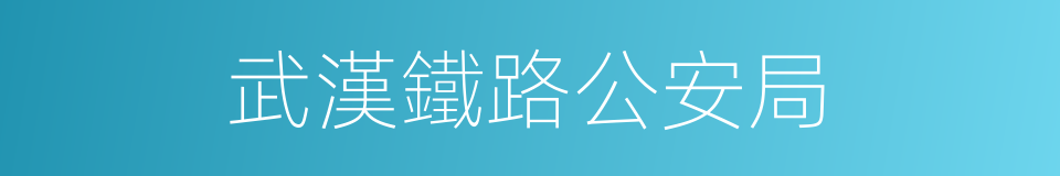 武漢鐵路公安局的同義詞