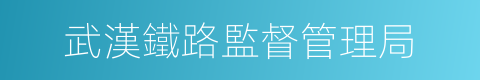 武漢鐵路監督管理局的同義詞