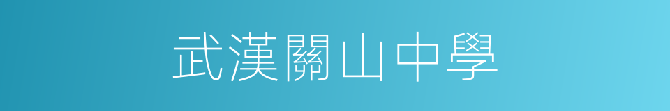 武漢關山中學的同義詞