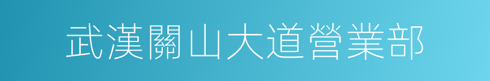 武漢關山大道營業部的同義詞