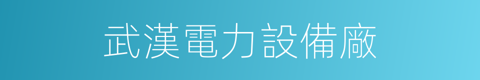 武漢電力設備廠的同義詞