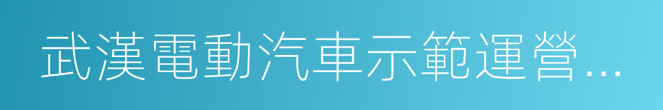 武漢電動汽車示範運營有限公司的同義詞