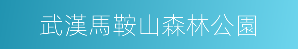 武漢馬鞍山森林公園的同義詞