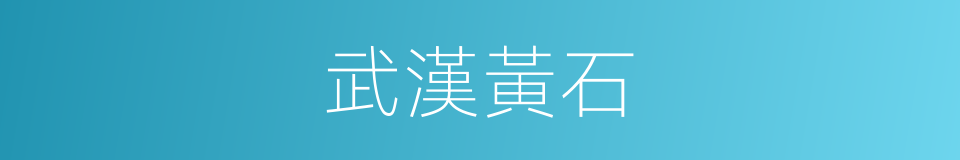 武漢黃石的同義詞