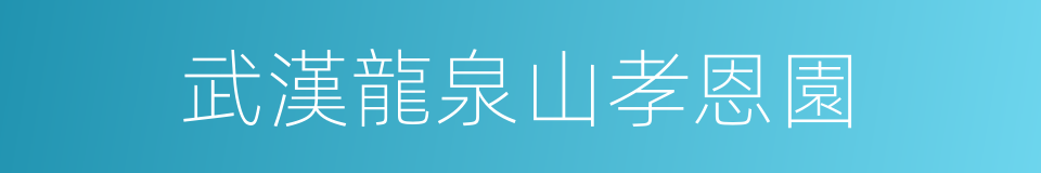 武漢龍泉山孝恩園的同義詞