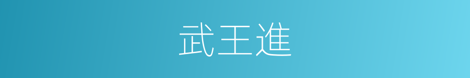 武王進的同義詞
