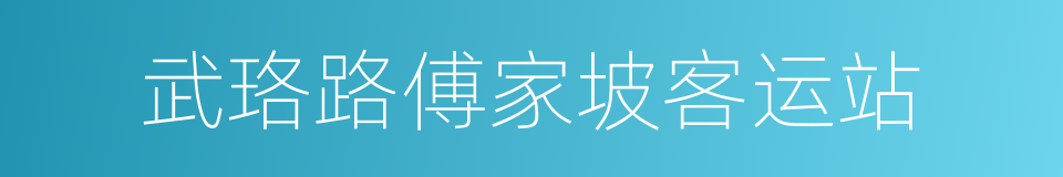 武珞路傅家坡客运站的同义词