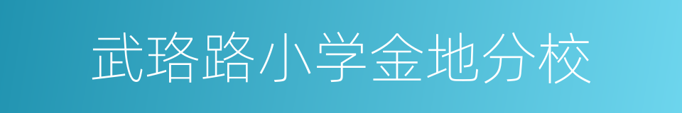 武珞路小学金地分校的同义词