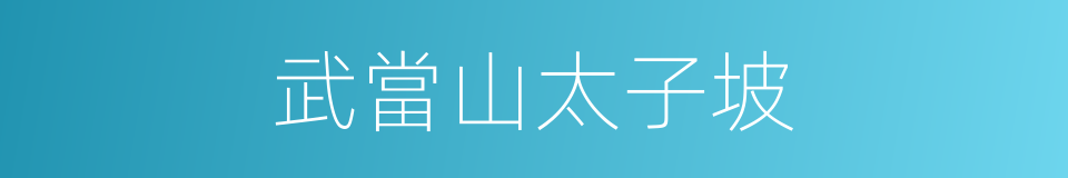 武當山太子坡的同義詞