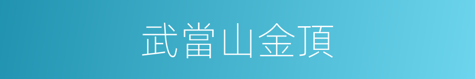 武當山金頂的同義詞