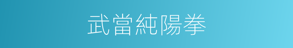 武當純陽拳的同義詞