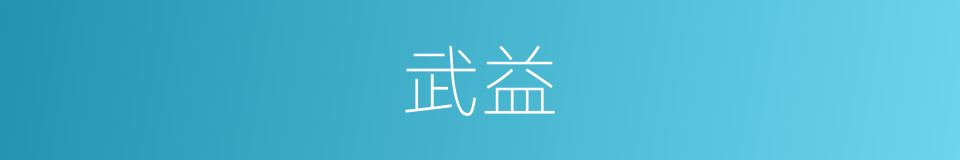 武益的同义词