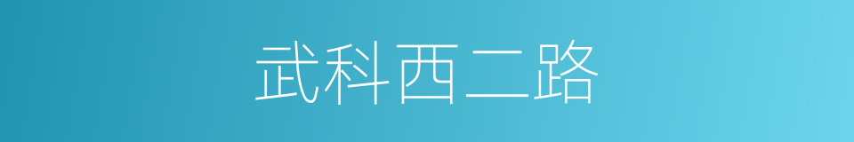 武科西二路的同义词