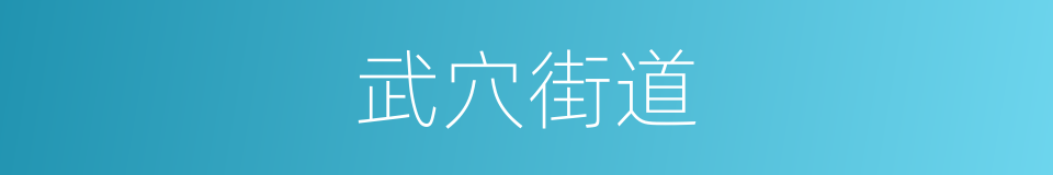 武穴街道的同义词