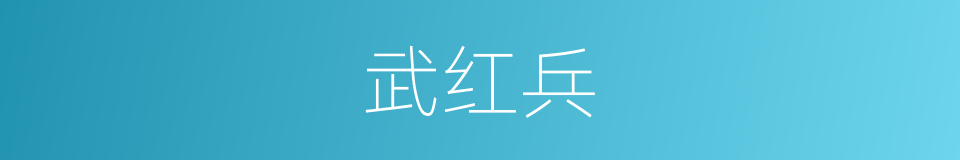 武红兵的同义词