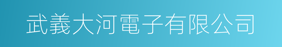 武義大河電子有限公司的同義詞