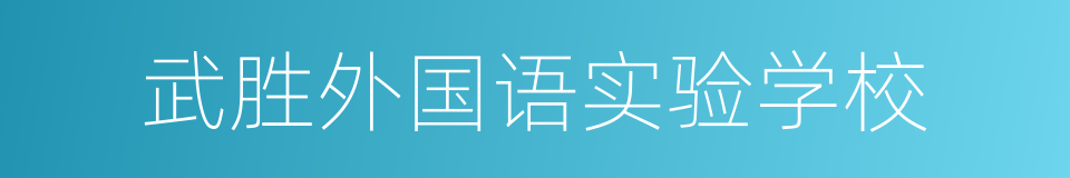 武胜外国语实验学校的同义词